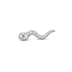 YILAN TRAGUS KÜPE