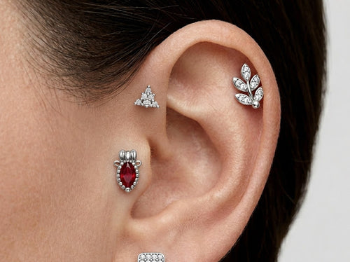 TRAGUS SET 4